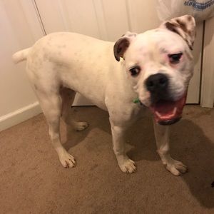 Meet your Posher, Michael